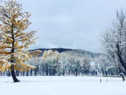 Хангай, Хөвсгөл, Хэнтийн уулархаг нутгаар ялимгүй цас орно
